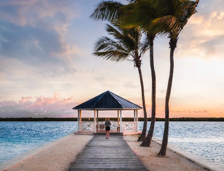 Động Phong Nha - Động Thiên Đường 1 Ngày